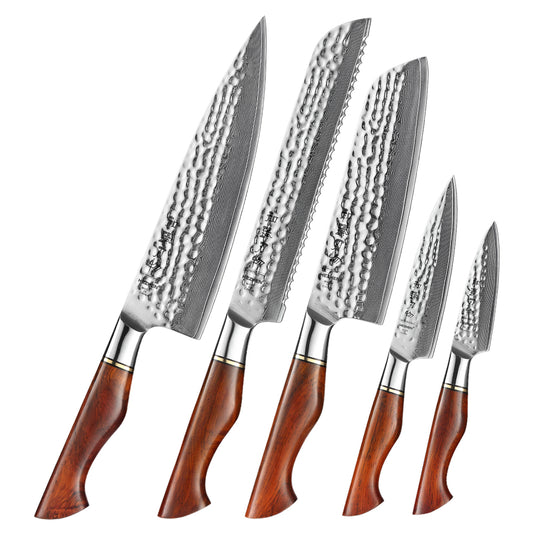 HEZHEN 5PC Kitchen Knife Set Slicing 73-Layer Powder Damascus Steel Rosewood Handle Chef Santoku Nakiri Utility knives