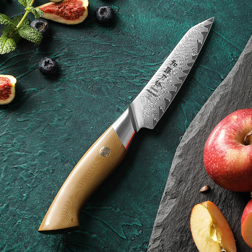 HEZHEN 4.3 Inches Paring Knife, 67 Layers Damascus Steel with Linen Micarta Handle, Gift Box Package- B38L Series