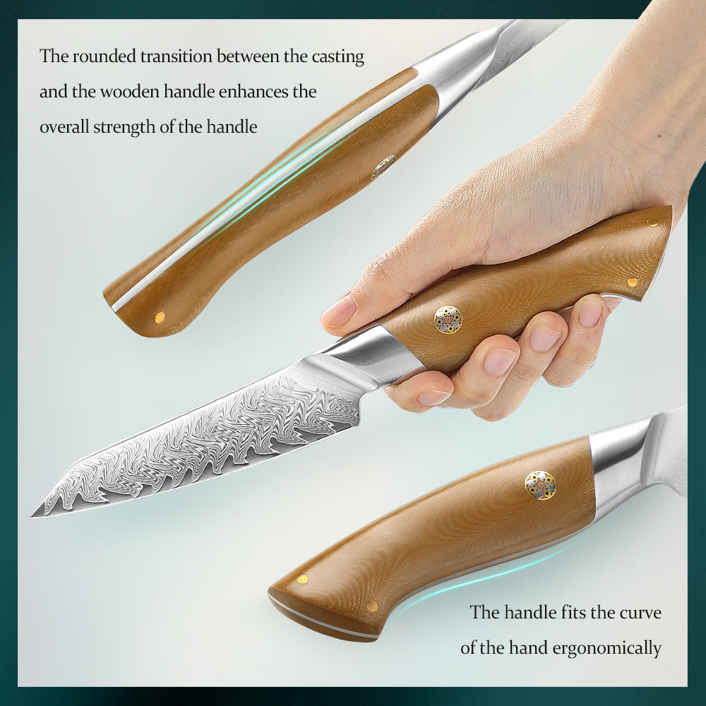 HEZHEN 4.3 Inches Paring Knife, 67 Layers Damascus Steel with Linen Micarta Handle, Gift Box Package- B38L Series