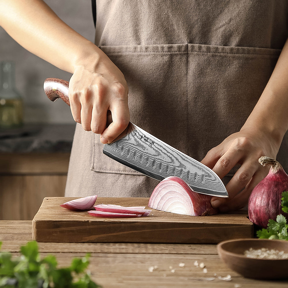HEZHEN 8 Inches Gyuto Chef Knife, Japanese Chef Knife, Micarta Handle