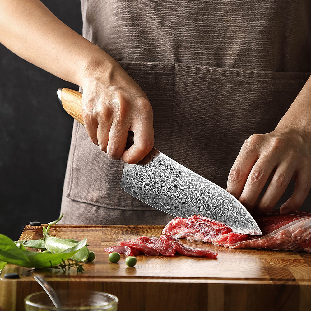 HEZHEN 2-piece Kitchen Knife Set(Chef Knife+Kitchen Utility Knife), 73 Layers Damascus Powder Steel, Olive Wood Handle, Gift Ready-Flagship Series