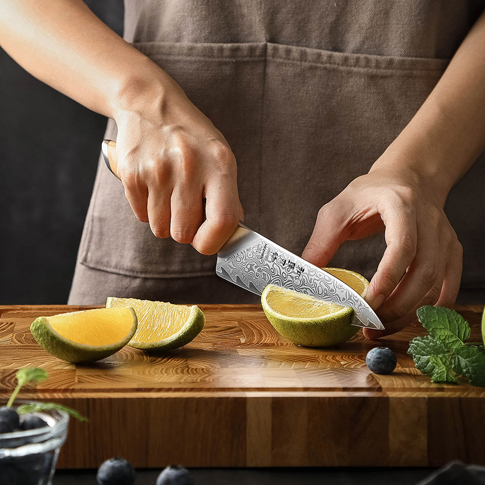 HEZHEN 5 Inches Kitchen Utility Knife, 73 Layers Damascus Powder Steel, Olive Wood Handle, Gift Ready-Flagship Series