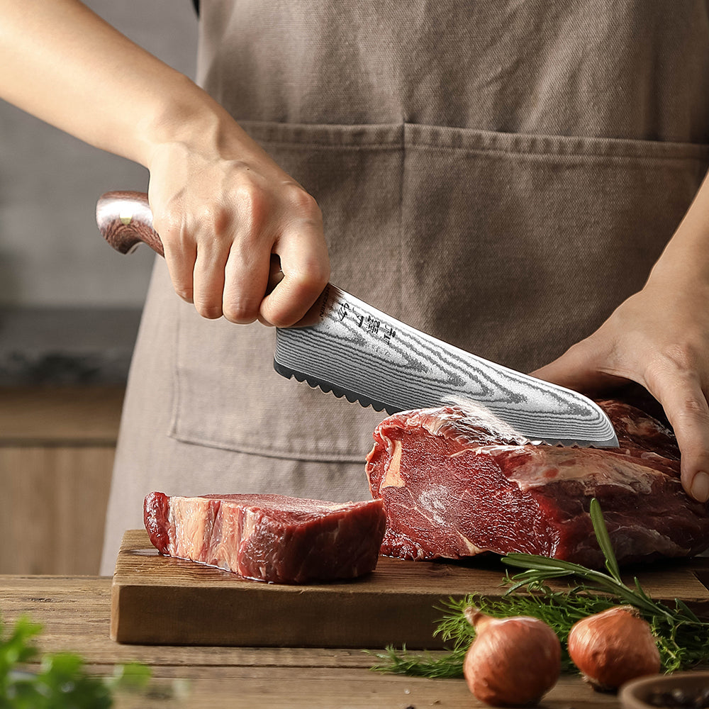 HEZHEN 8 Inches Damascus Frozen Meat Knife, Professional Frozen Meat Cleaver,Micarta Handle