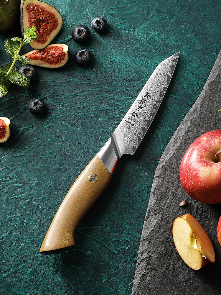 HEZHEN 4.3 Inches Paring Knife, 67 Layers Damascus Steel with Linen Micarta Handle, Gift Box Package- B38L Series