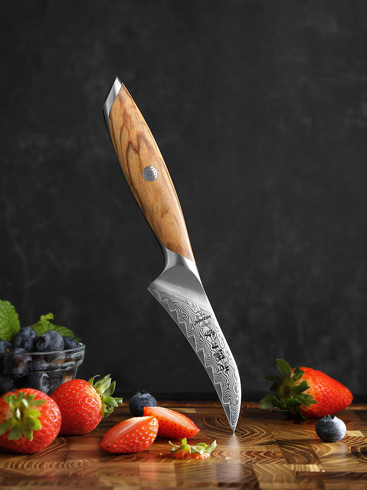 HEZHEN 4 Inches Paring Knife, 73 Layers Damascus Powder Steel, Olive Wood Handle, Gift Ready-Flagship Series