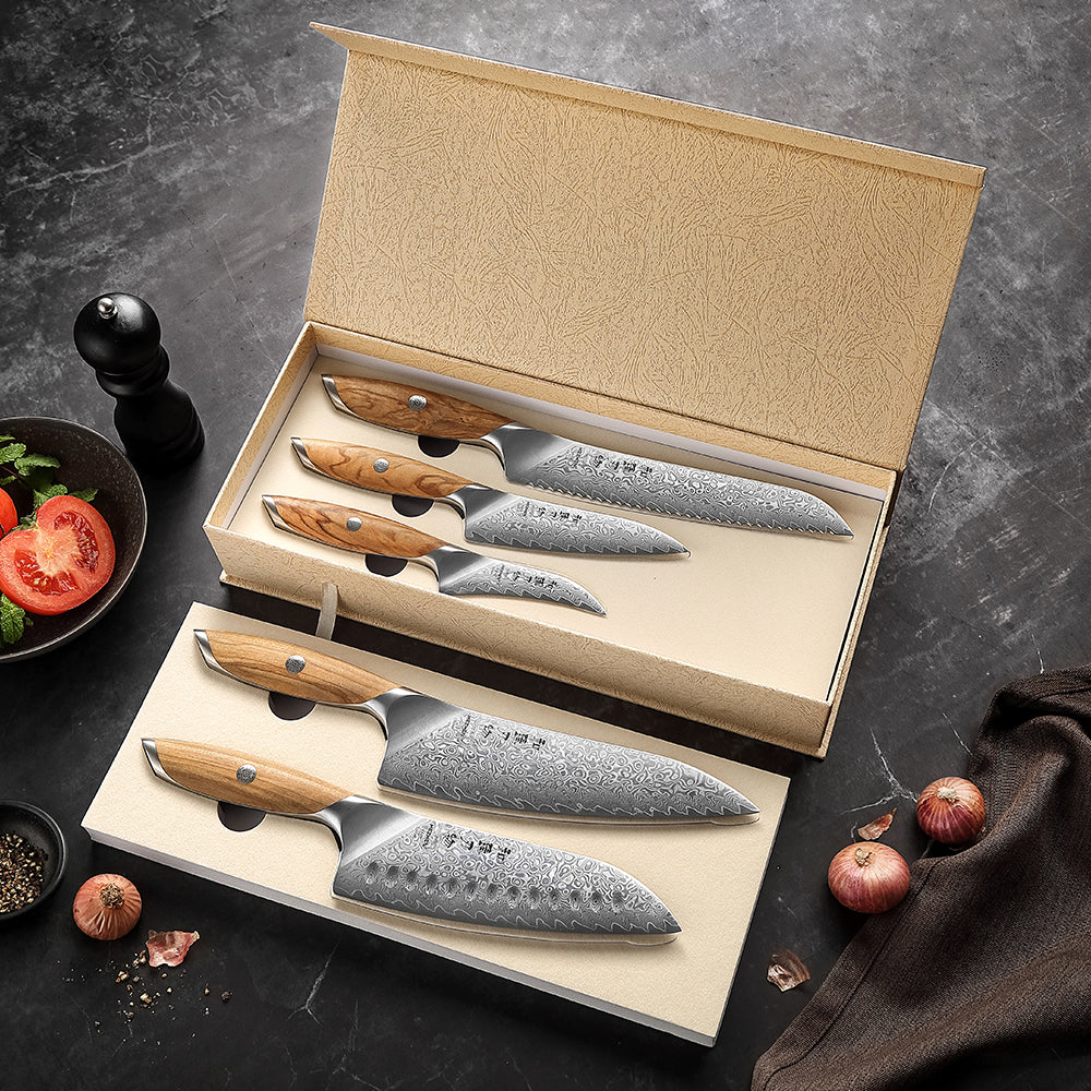 HEZHEN 5-piece Chef Knife Set, 73 Layers Damascus Powder Steel, Olive Wood Handle, Gift Ready-Flagship Series
