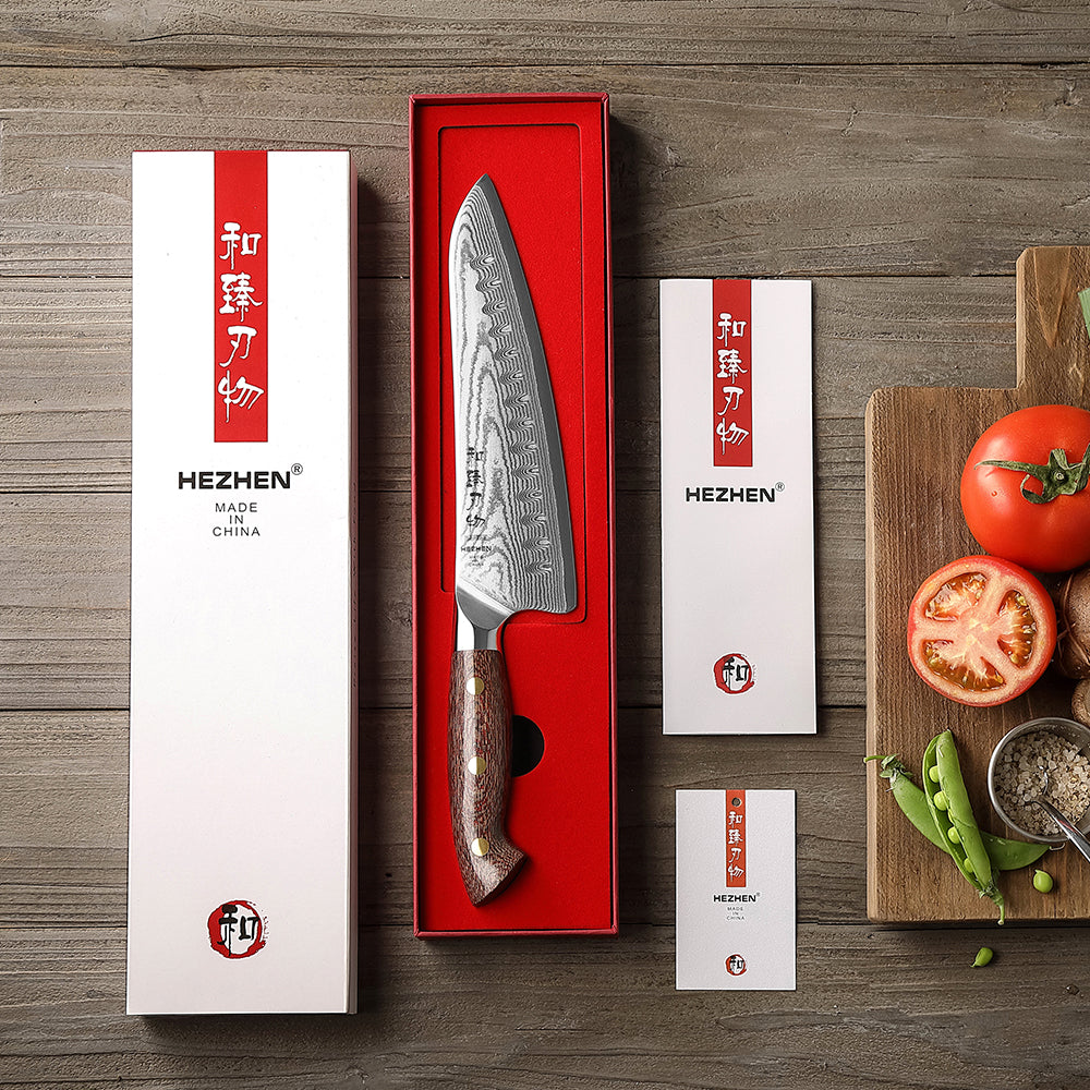 HEZHEN 8 Inches Gyuto Chef Knife, Japanese Chef Knife, Micarta Handle