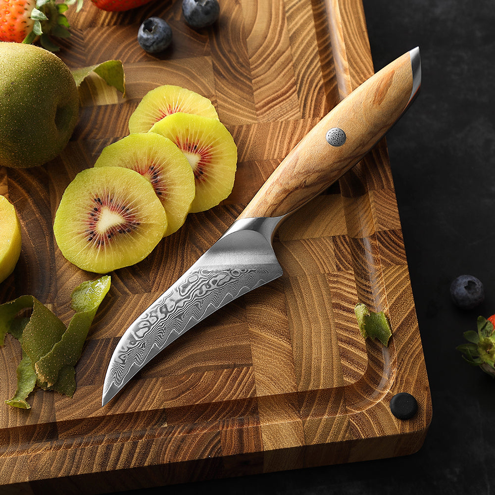 HEZHEN 4 Inches Paring Knife, 73 Layers Damascus Powder Steel, Olive Wood Handle, Gift Ready-Flagship Series