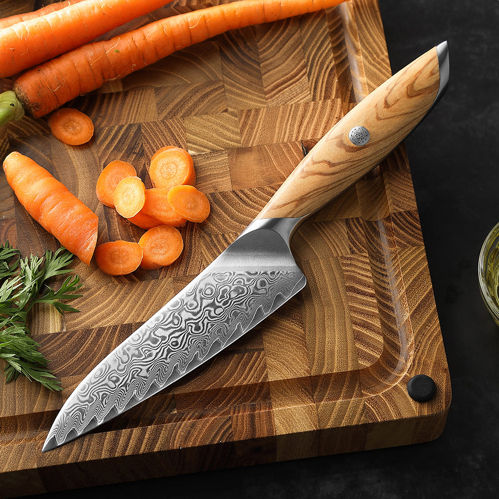 HEZHEN 5 Inches Kitchen Utility Knife, 73 Layers Damascus Powder Steel, Olive Wood Handle, Gift Ready-Flagship Series