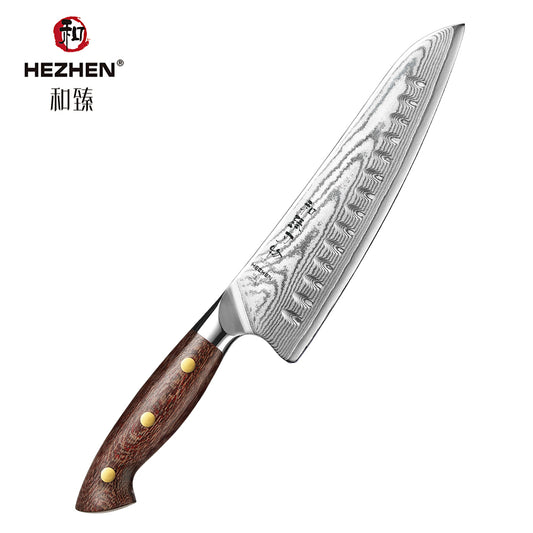 HEZHEN 8 Inches Gyuto Chef Knife, Japanese Chef Knife, Micarta Handle