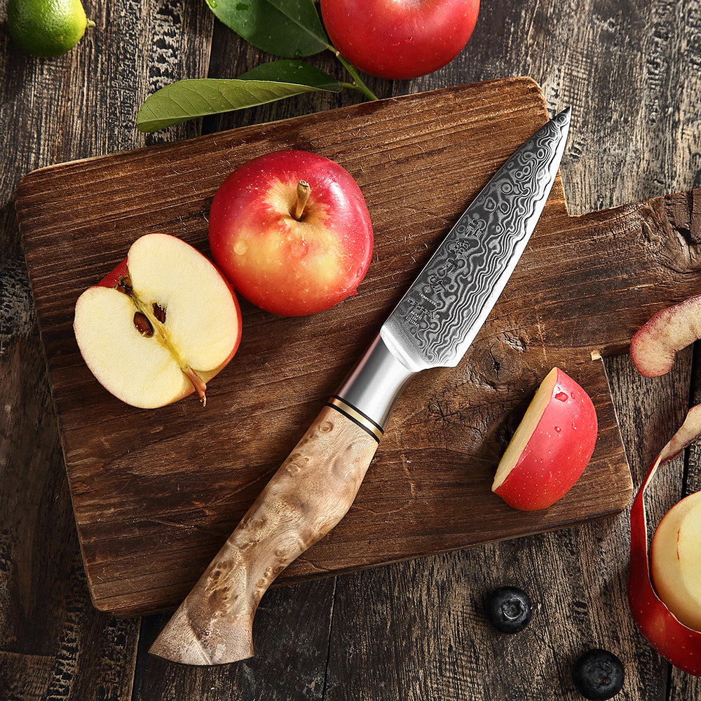 HEZHEN 3.5 inch Paring Knife Real 67 Layer Damascus Super Steel Cook Knife Super anti rust Sharp Blade Fruit Kitchen Knife