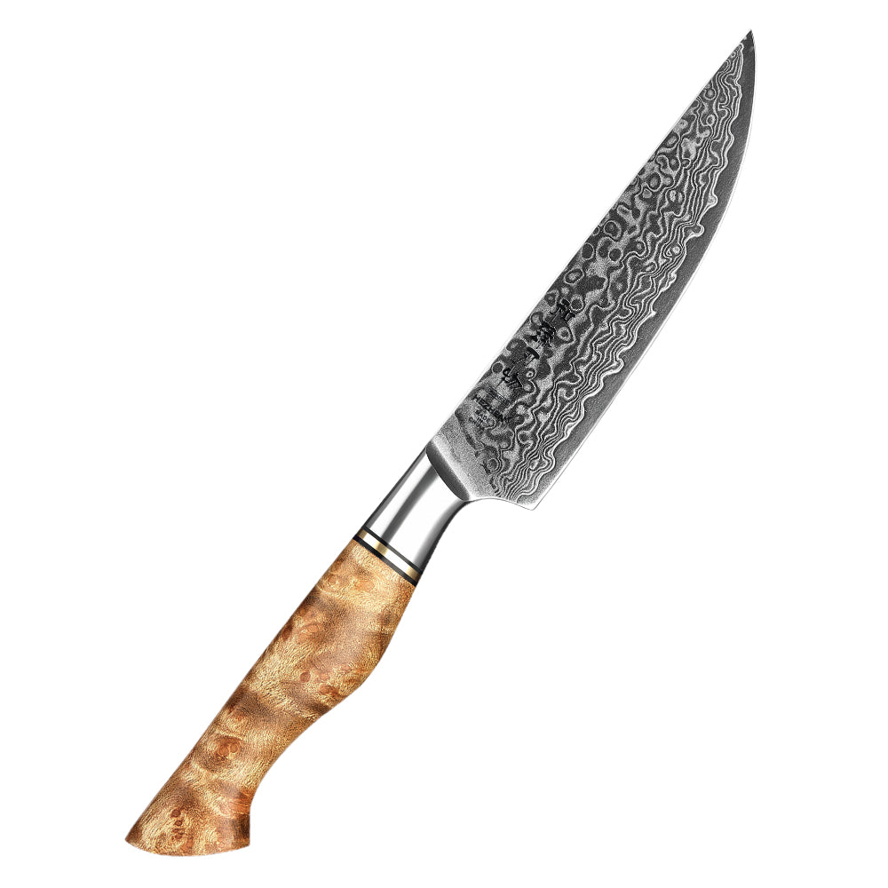 HEZHEN 5 inch Steak Knife Real 67 Layer Damascus Super Cook Knife Pretty Peeling Knife Super Sharp Kitchen Knife