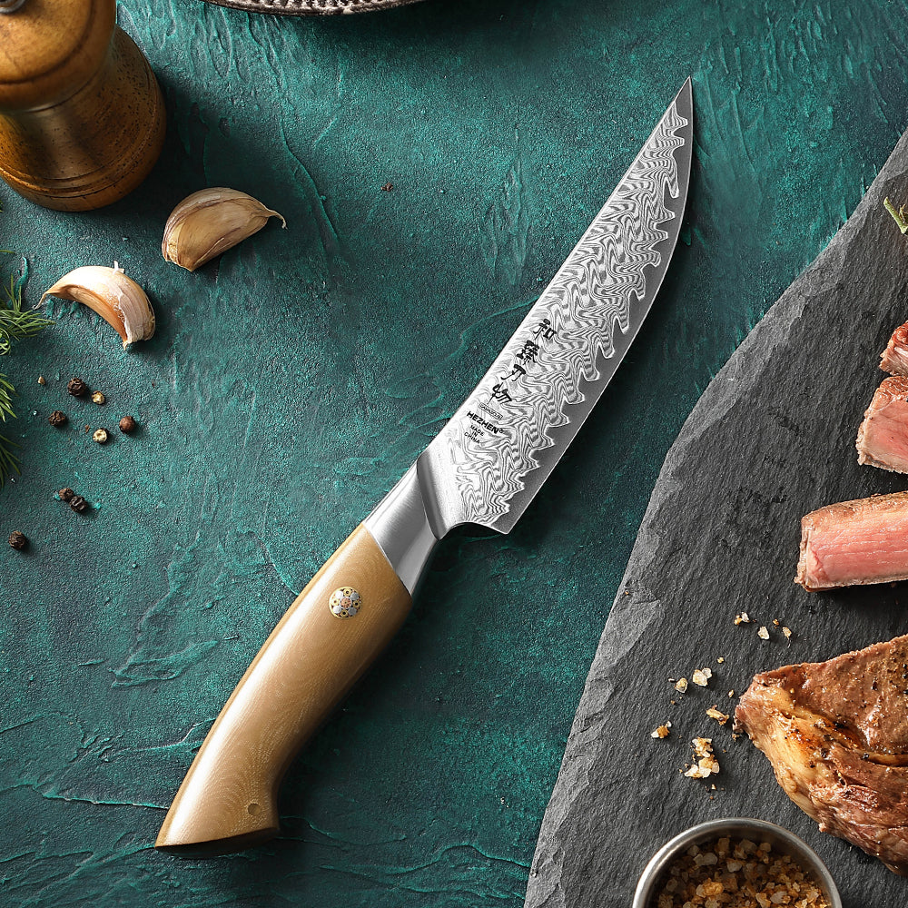 HEZHEN 67-Layer Damascus Steel 5.4”Steak Knife, 10Cr15CoMoV Steel Core Kitchen Knife, Ergonomic Linen Micarta Handle,Multipurpose Cutting Knife for Steak, Fruit, Barbecue