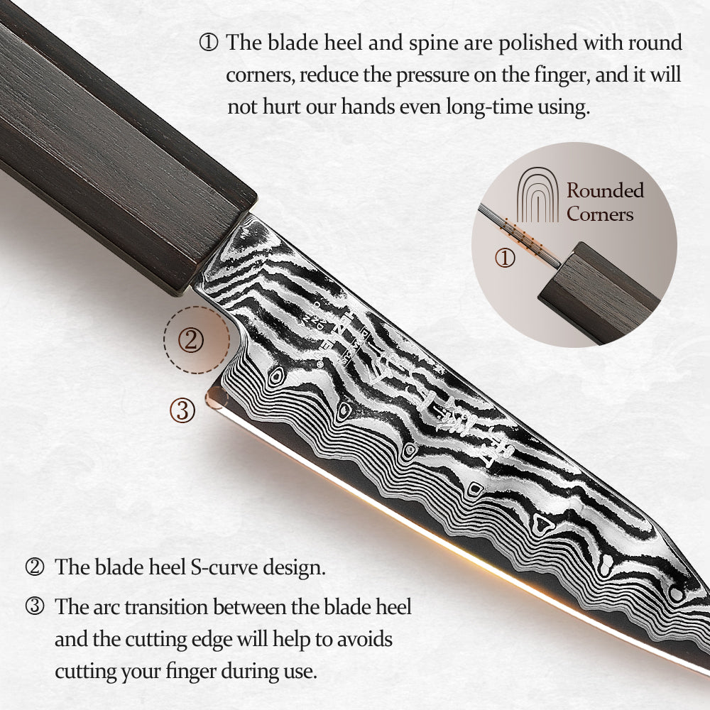 HEZHEN 4.1 Inch Damascus Paring Knife, 67-Layer Damascus Steel, Hand Forged Kitchen Fruit Knife, Ebony Wood Octagonal Ergonomic Handle