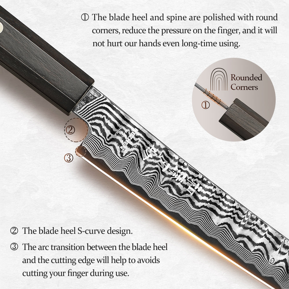 HEZHEN 8.7 Inch Damascus Carving Knife, 67-Layer Forged Damascus Steel, Professional Kitchen Knife,Home Cooking & High-End Gift