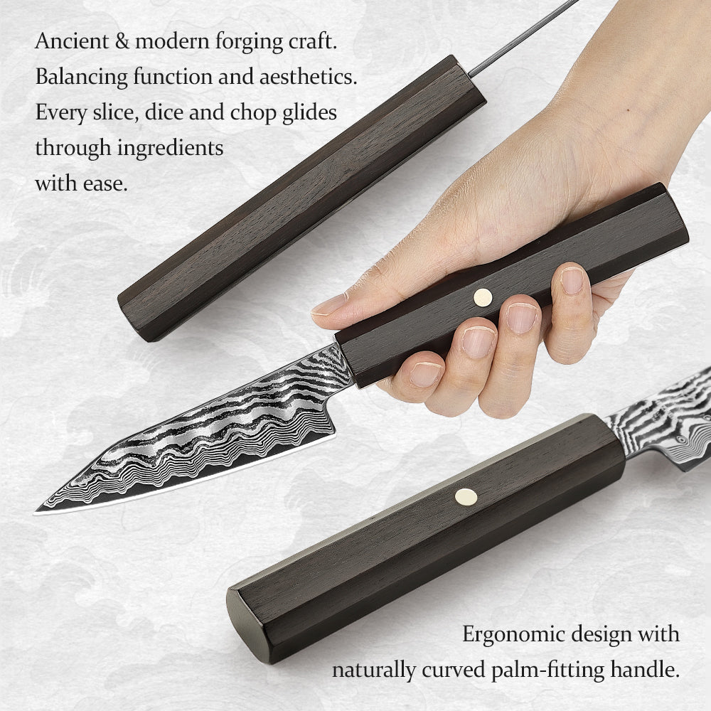 HEZHEN 4.1 Inch Damascus Paring Knife, 67-Layer Damascus Steel, Hand Forged Kitchen Fruit Knife, Ebony Wood Octagonal Ergonomic Handle