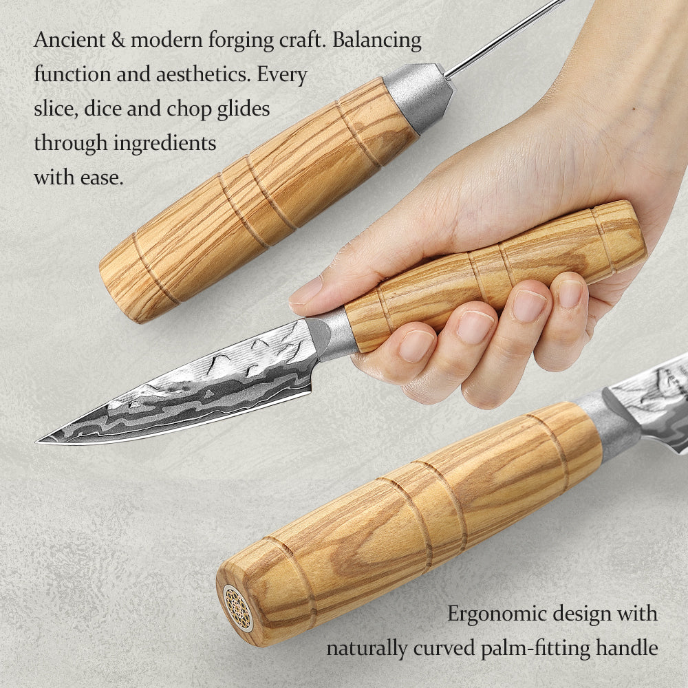 HEZHEN Professional 5PCS Kitchen Knife Set,9-Layer Damascus Steel,High Quality Olive Wood Handle,Multi-Purpose Kitchen Knives