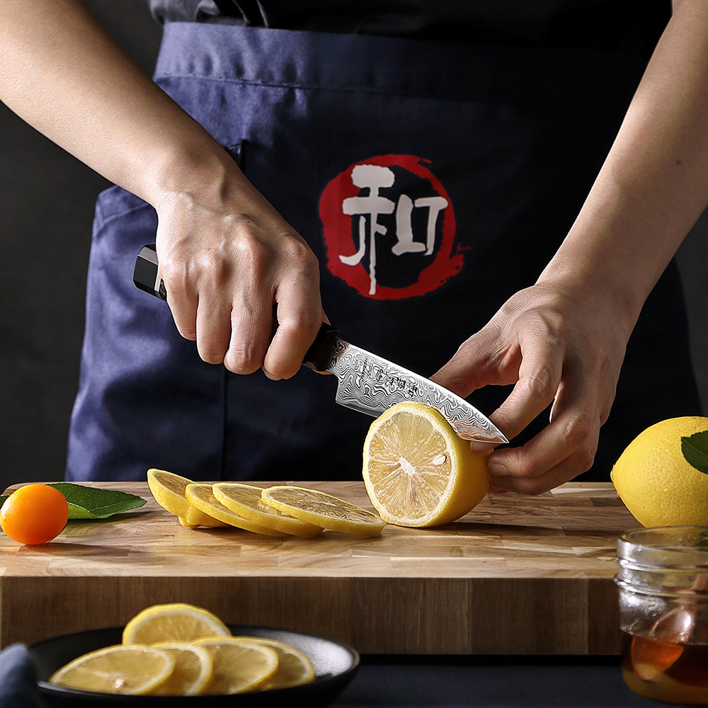 HEZHEN 4.1-Inch Paring Knife – 49-Layer ZDP-189 Damascus Steel, Core Hardness 65-67 HRC, Small Fruit Knife