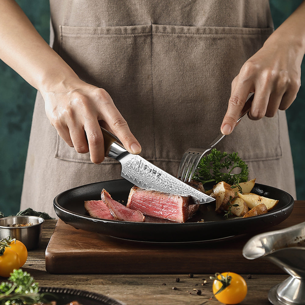 HEZHEN 67-Layer Damascus Steel 5.4”Steak Knife, 10Cr15CoMoV Steel Core Kitchen Knife, Ergonomic Linen Micarta Handle,Multipurpose Cutting Knife for Steak, Fruit, Barbecue