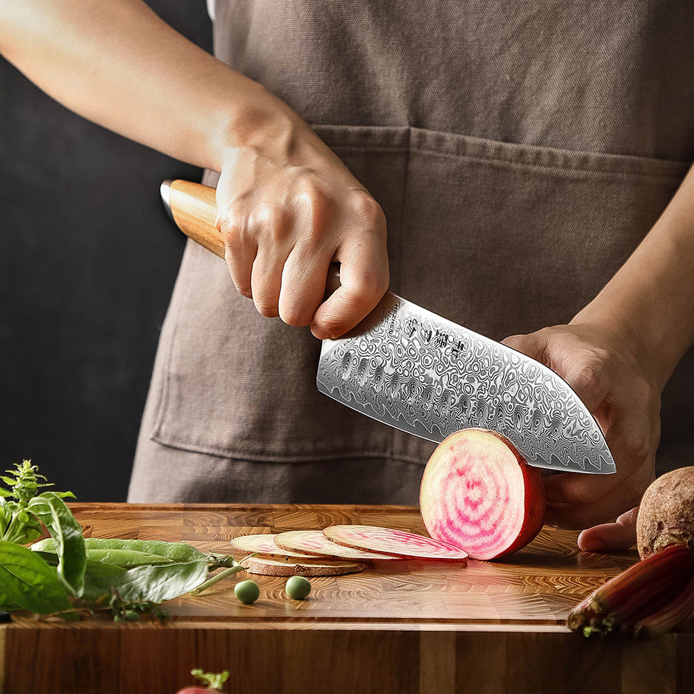 HEZHEN 7.5 Inches Santoku Knife, 73 Layers Damascus Powder Steel, Olive Wood Handle, Gift Ready-Flagship Series