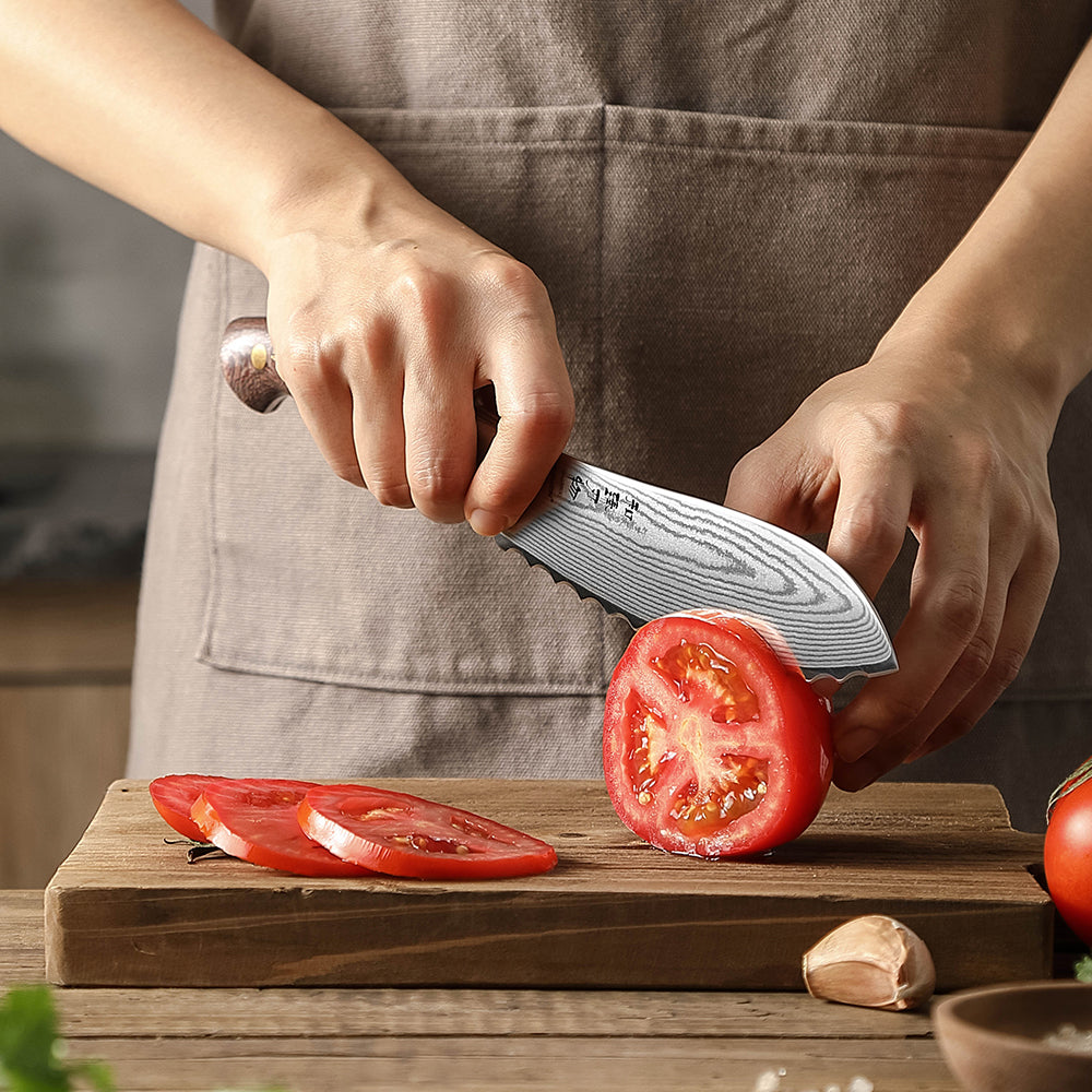 HEZHEN 6.1 Inches Damascus Steel Tomato Knife, 10Cr15CoMoV Steel Core With Micarta Handle,Elegantly Packaged in a Gift Box