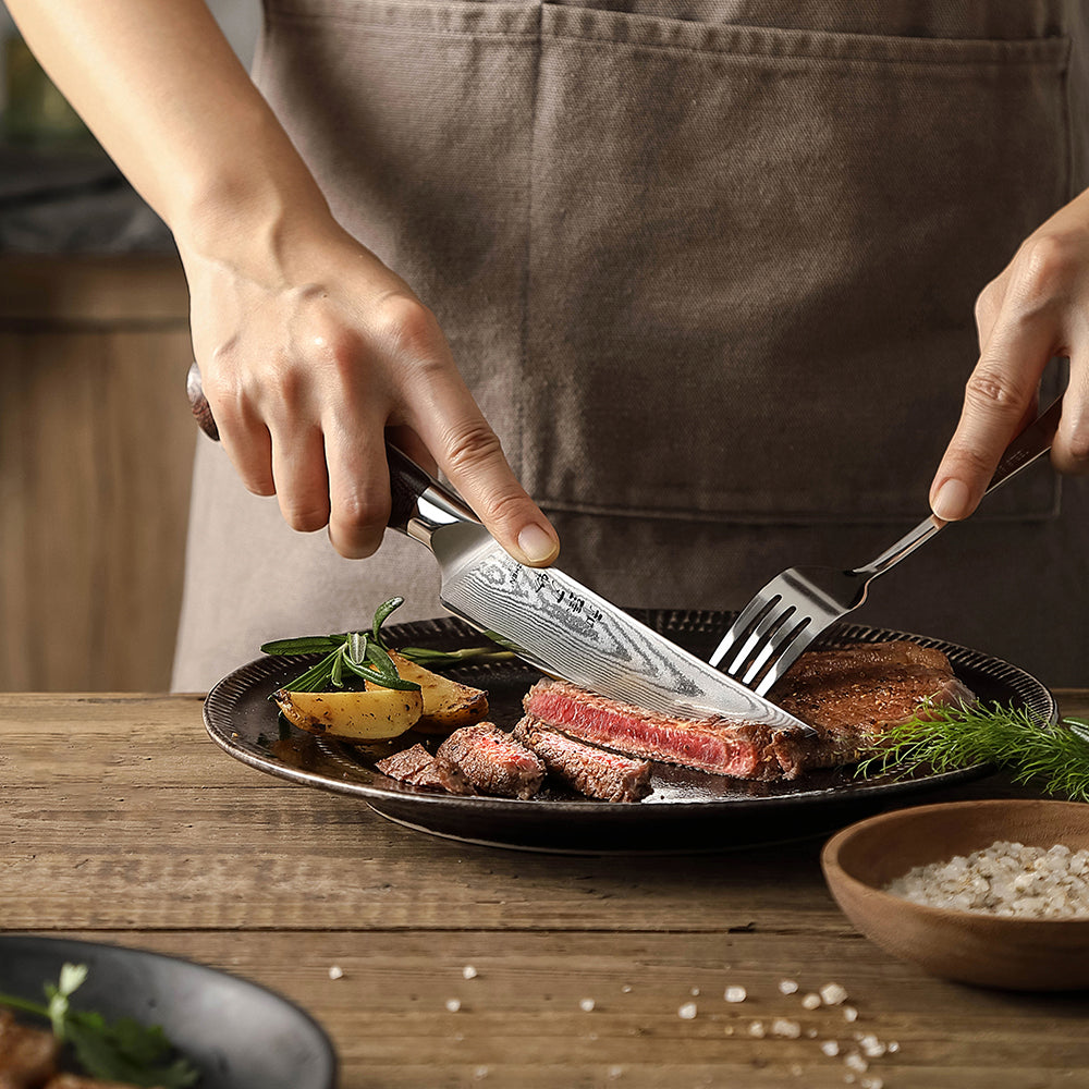 Hezhen Premium 5.3 Inches Steak Knife,67 Layers Damascus Steel Blade,Ultra-Sharp 15° Edge,Exquisite Patterns