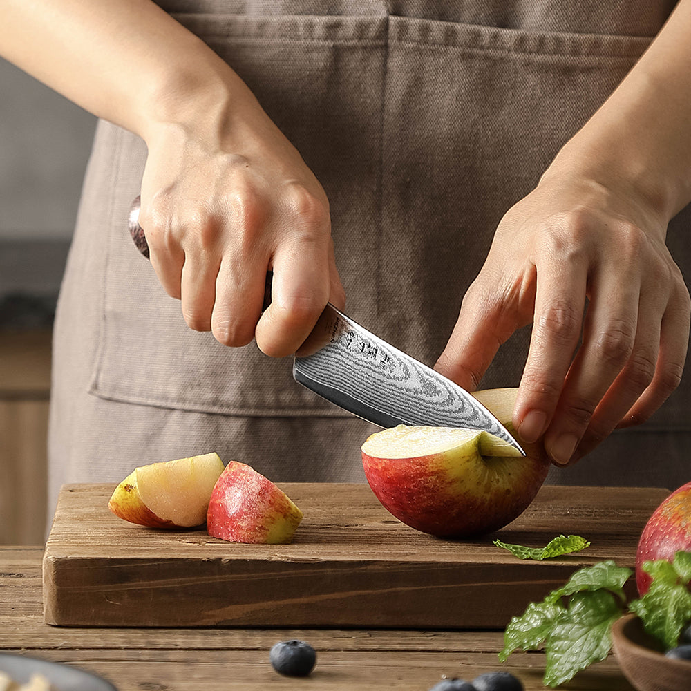 HEZHEN 5.3-Inch Multi-Purpose Utility Knife,67-Layer Damascus Steel Blade,With 10Cr15CoMoV Core,Household Kitchen Knife