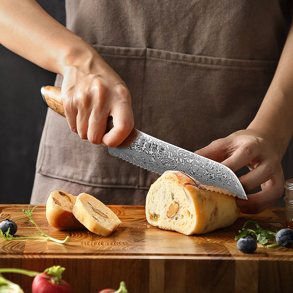 HEZHEN 8.5  Inches Serrated Bread Knife, 73 Layers Damascus Powder Steel, Olive Wood Handle, Gift Ready-Flagship Series