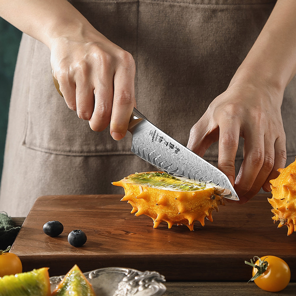 HEZHEN 2 Piece Damascus Kitchen Knife Set, 67-Layer 10Cr15CoMoV Steel Core,Chef Knife & Utility Knife Combo, Linen Micarta Handle for Meat Vegetable Fruit Prep