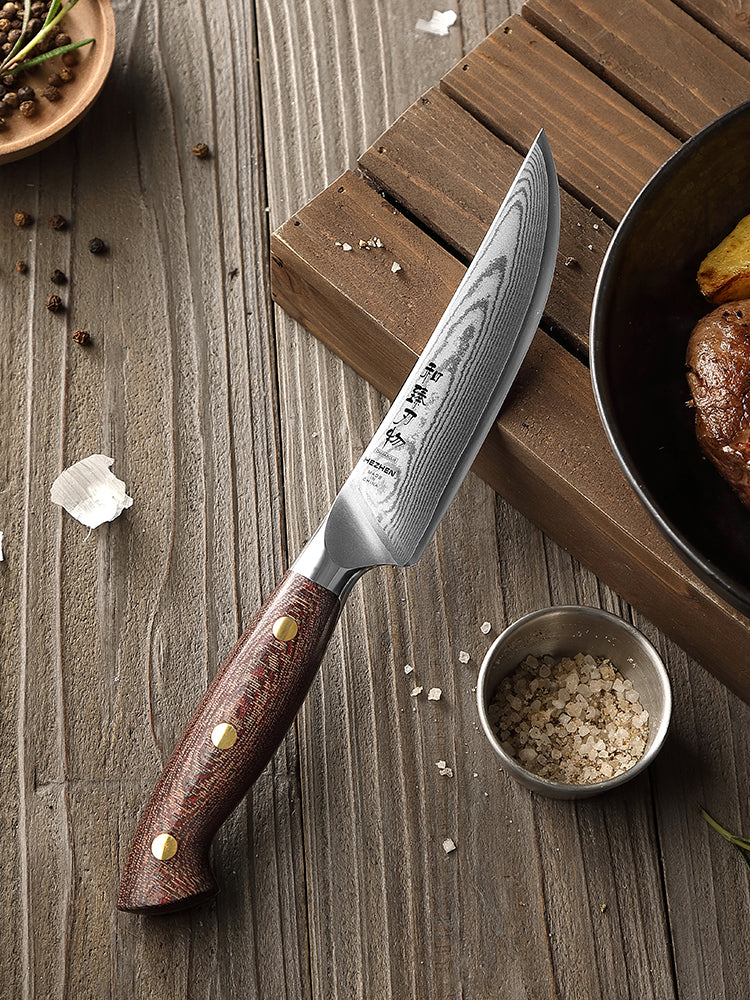 Hezhen Premium 5.3 Inches Steak Knife,67 Layers Damascus Steel Blade,Ultra-Sharp 15° Edge,Exquisite Patterns
