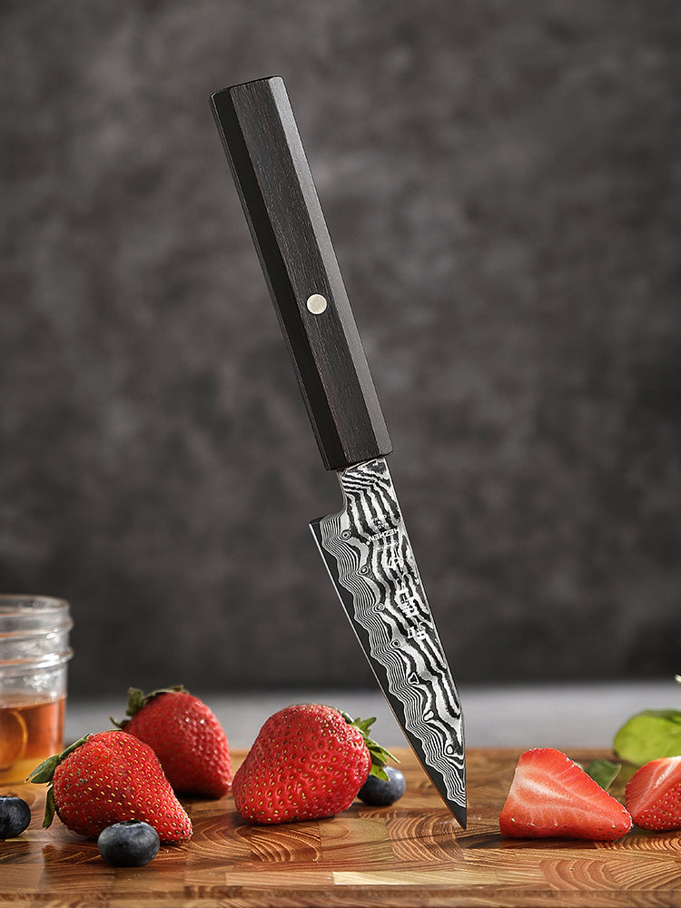 HEZHEN 4.1 Inch Damascus Paring Knife, 67-Layer Damascus Steel, Hand Forged Kitchen Fruit Knife, Ebony Wood Octagonal Ergonomic Handle