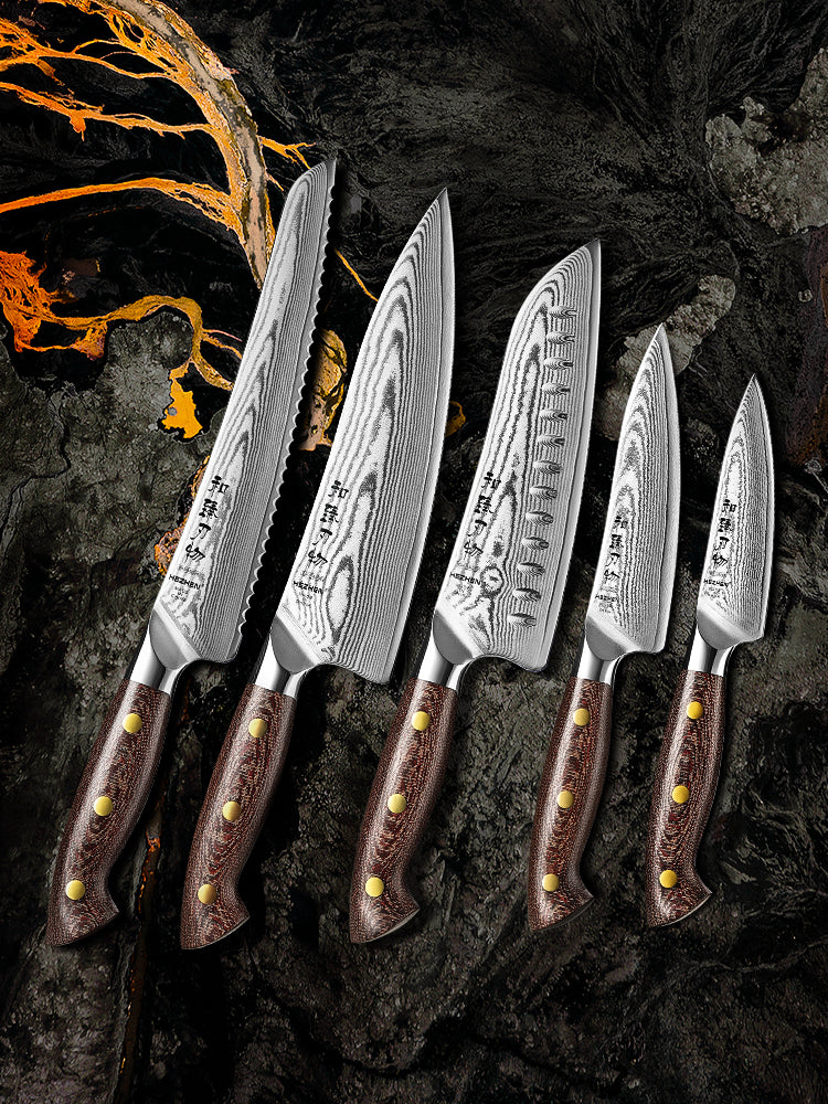 HEZHEN Professional 5PCS Knife Set,High-carbon Damascus Steel,Ergonomic Handle, Sharp and Durable Cooking Utensils, Ideal As a Gift or For Personal Use
