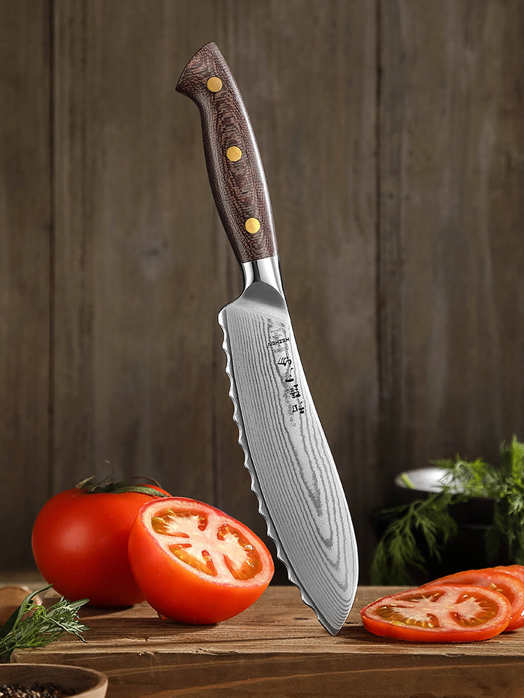 HEZHEN 6.1 Inches Damascus Steel Tomato Knife, 10Cr15CoMoV Steel Core With Micarta Handle,Elegantly Packaged in a Gift Box