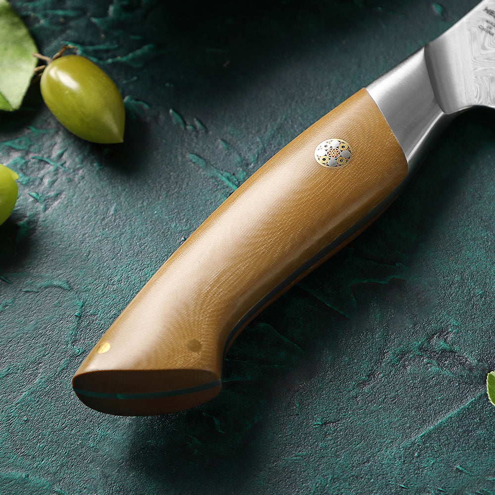 HEZHEN 67-Layer Damascus Steel 5.4”Steak Knife, 10Cr15CoMoV Steel Core Kitchen Knife, Ergonomic Linen Micarta Handle,Multipurpose Cutting Knife for Steak, Fruit, Barbecue