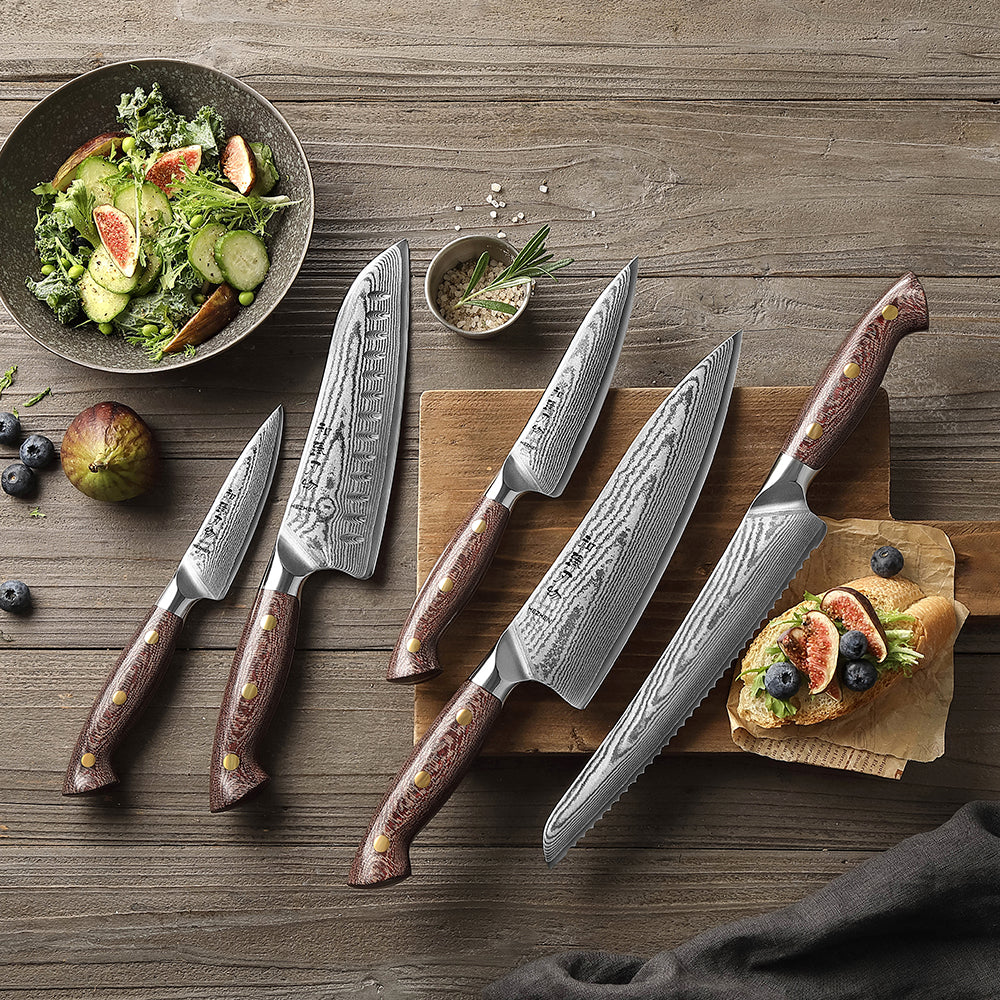 HEZHEN Professional 5PCS Knife Set,High-carbon Damascus Steel,Ergonomic Handle, Sharp and Durable Cooking Utensils, Ideal As a Gift or For Personal Use