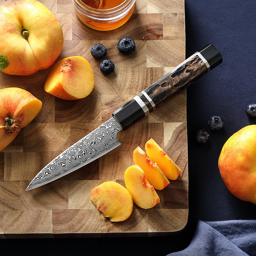 HEZHEN 4.1-Inch Paring Knife – 49-Layer ZDP-189 Damascus Steel, Core Hardness 65-67 HRC, Small Fruit Knife