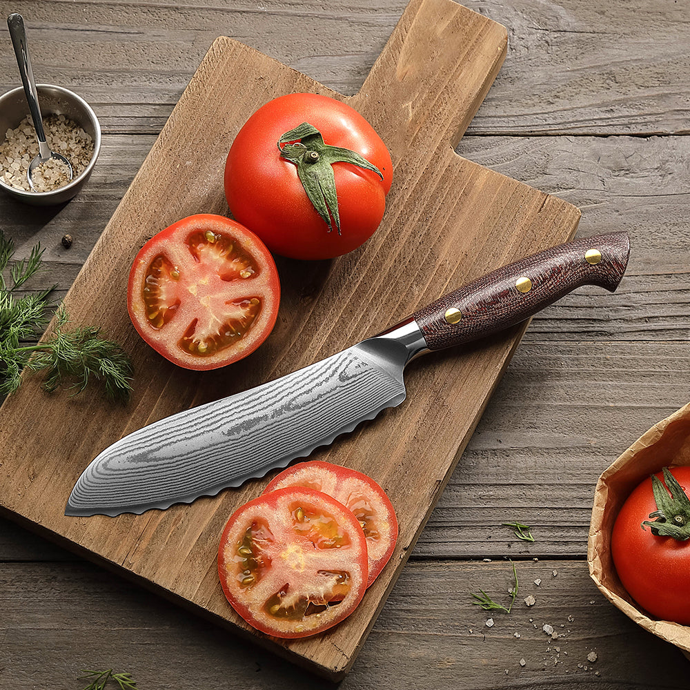 HEZHEN 6.1 Inches Damascus Steel Tomato Knife, 10Cr15CoMoV Steel Core With Micarta Handle,Elegantly Packaged in a Gift Box