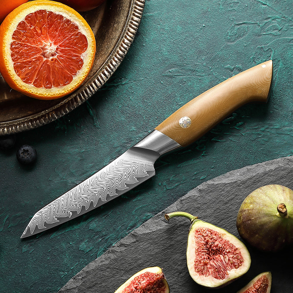 HEZHEN 4.3 Inches Paring Knife, 67 Layers Damascus Steel with Linen Micarta Handle, Gift Box Package- B38L Series