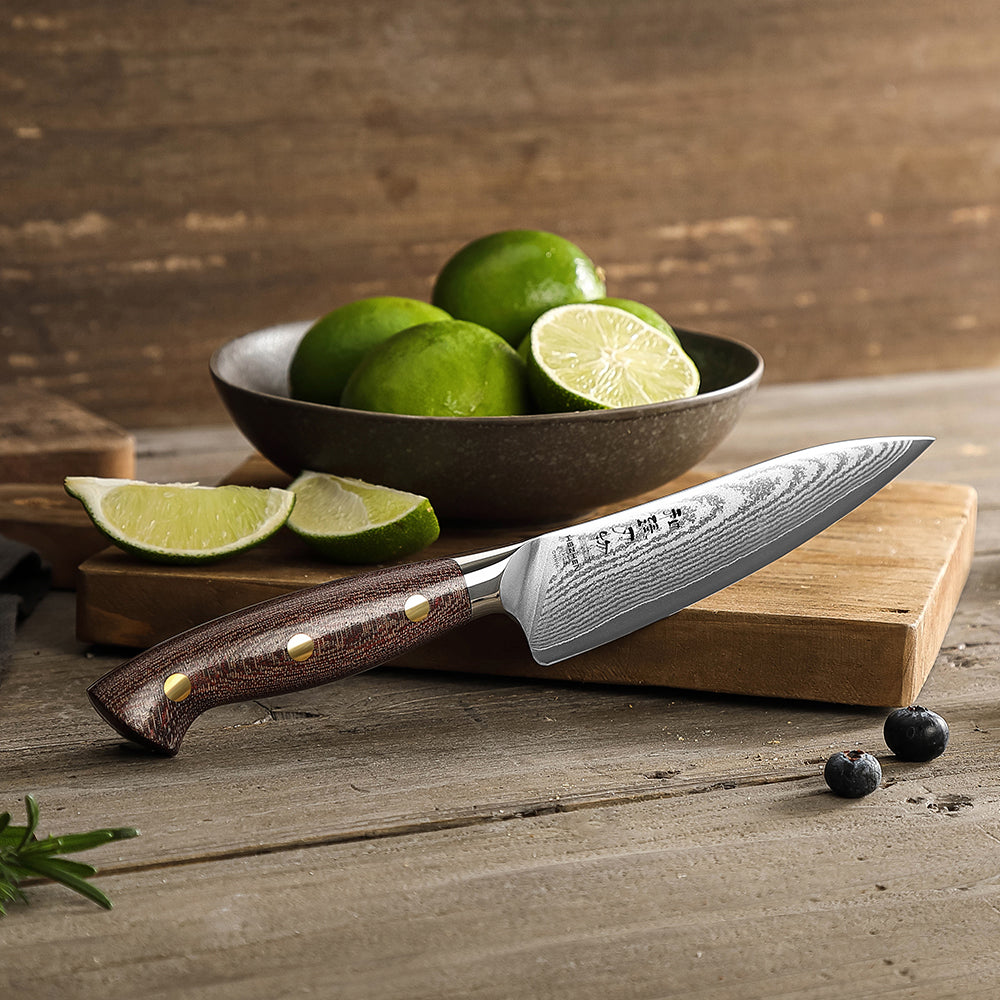 HEZHEN 5.3-Inch Multi-Purpose Utility Knife,67-Layer Damascus Steel Blade,With 10Cr15CoMoV Core,Household Kitchen Knife