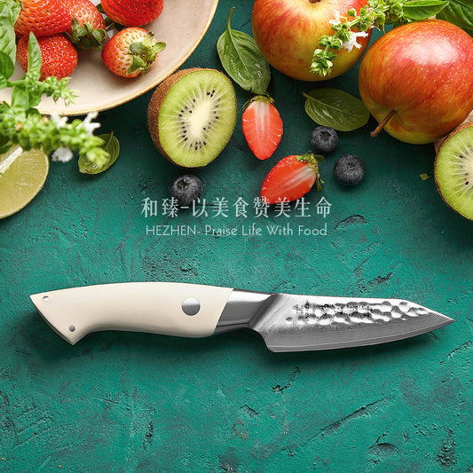 HEZHEN 3.5 inches 67 Layers Damascus Steel Paring Knife Elegant Hammer Series