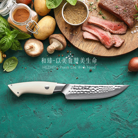 HEZHEN 5 inches 67 Layers Damascus Steel Steak Knife Elegant Hammer Series