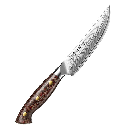Hezhen Premium 5.3 Inches Steak Knife,67 Layers Damascus Steel Blade,Ultra-Sharp 15° Edge,Exquisite Patterns