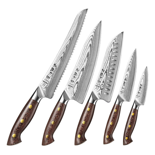 HEZHEN Professional 5PCS Knife Set,High-carbon Damascus Steel,Ergonomic Handle, Sharp and Durable Cooking Utensils, Ideal As a Gift or For Personal Use