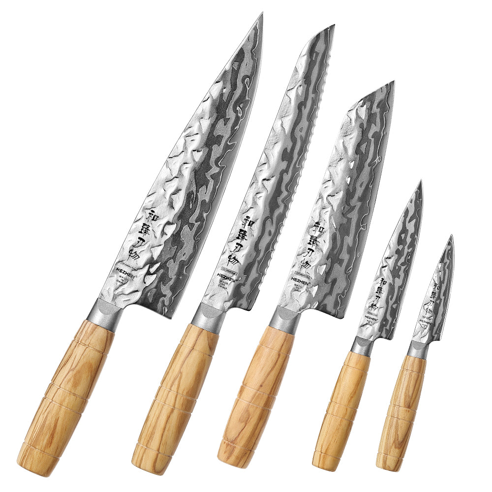 HEZHEN Professional 5PCS Kitchen Knife Set,9-Layer Damascus Steel,High Quality Olive Wood Handle,Multi-Purpose Kitchen Knives
