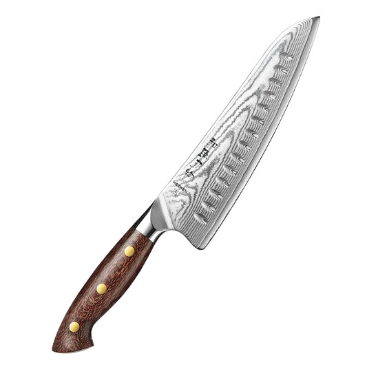 HEZHEN 8 Inches Gyuto Chef Knife, Japanese Chef Knife, Micarta Handle